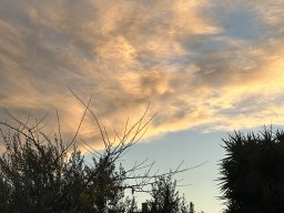 189-08-01-2026 IMG_3389